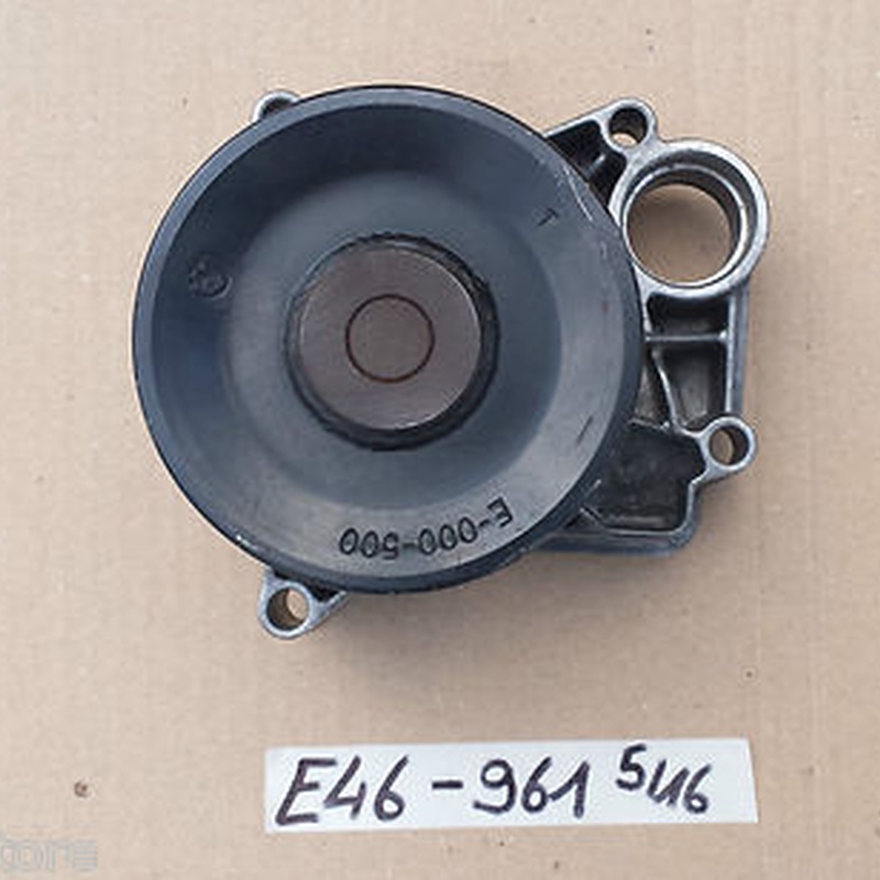 BMW E46 Spannrolle 2247552 Wasserpumpe 2246961