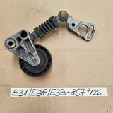 BMW E34 E39 E32 E38 E31 Riemenspanner 1736857 für M60 M62 M73 Motor + Spannrolle