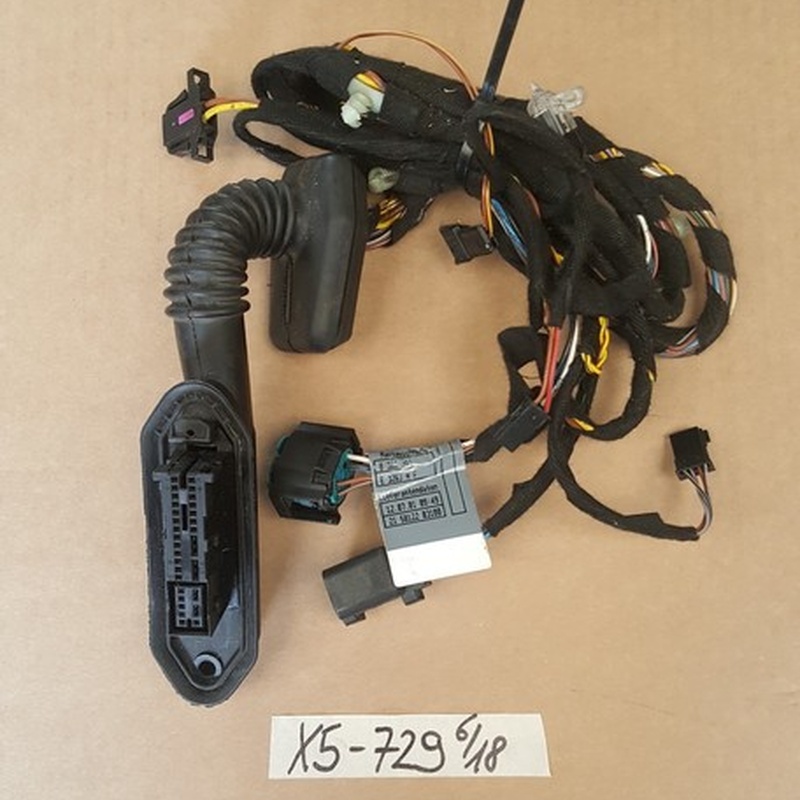 BMW X5  E53 Tür Kabel HINTEN LINKS 6913729