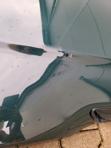 Motorhaube BMW Z3 Roadster Coupe Frontklappe Haube Blau ODER grün ABHOLUNG !!