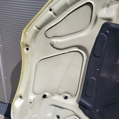 BMW Z3 Roadster Coupe Motorhaube Frontklappe Haube Pistaziengrün gold ABHOLUNG!