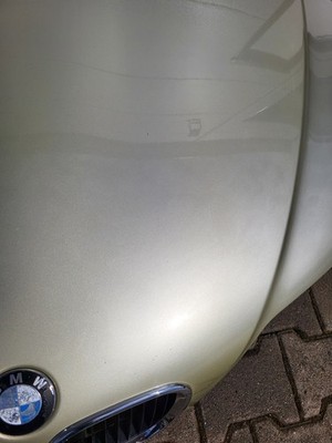 BMW Z3 Roadster Coupe Motorhaube Frontklappe Haube Pistaziengrün gold ABHOLUNG!